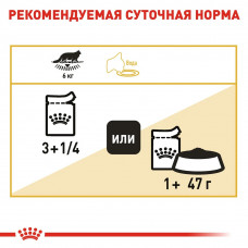 Royal Canin Maine Coon (Роял Канін Мейн Кун Едалт) вологий корм для кішок мейн-кун від 15 місяців 0.085 кг. х 12 шт.