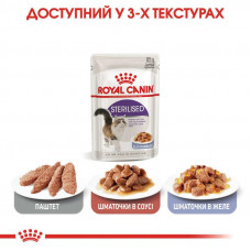 Royal Canin Sterilised Jelly (Роял Канін Стерелайзд желе) вологий корм для стерилізованих кішок 85 г х 12 шт.