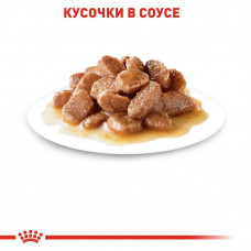 Royal Canin Digest Sensitive Gravy (Роял Канін Дайджест Сенситив Кер) вологий корм для кішок для шлунково-червоного тракту від 12 міс 0.085 кг. х 12 шт.