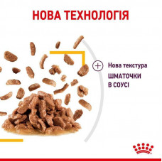 Royal Canin Sensory Taste Gravy (Роял Канін Сенсорі шматочки) вологий корм для перебираних кішок 85 г х 12 шт.
