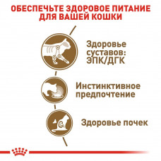 Royal Canin Ageing 12+ Gravy (Рояв Канін Ейджінг 12+ соус) вологий корм для старих кішок від 12 років 0,085 кг.