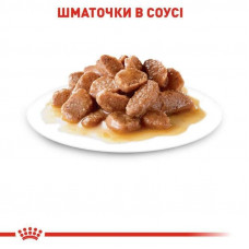 Royal Canin Light Weight Care Gravy (Роял Канін Лайт Вейт Кеа) вологий корм для кішок із зайвою вагою 0.085 кг. х 12 шт.