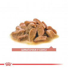 Royal Canin Ageing 11+ Gravy (Роял Канин Эйджинг 11+) влажный корм для кошек старше 11 лет 85 г х 12 шт. 85 г. х 12 шт.