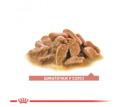 Royal Canin Ageing 11+ Gravy (Роял Канин Эйджинг 11+) влажный корм для кошек старше 11 лет 85 г х 12 шт. 85 г. х 12 шт. Royal Canin Ageing 11+ Gravy (Роял Канин Эйджинг 11+) влажный корм для кошек старше 11 лет 85 г х 12 шт. 85 г. х 12 шт.