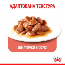 Royal Canin Appetite Control Care (Роял Канін Апетайт Контрол) вологий корм (кусочки в соусі) для повних котів 85 г х 12 шт.