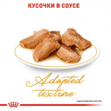 Royal Canin Maine Coon (Роял Канін Мейн Кун Едалт) вологий корм для кішок мейн-кун 85 г х 12 шт.