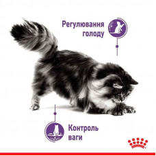 Royal Canin Appetite Control Care (Роял Канін Апетайт Контрол) вологий корм (кусочки в соусі) для повних котів 85 г х 12 шт.