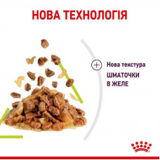 Royal Canin Sensory Smell Jelly (Роял Канін Сенсорі в желе) вологий корм для вимогливих кішок 85 г х 12 шт 85 г х 12 шт.