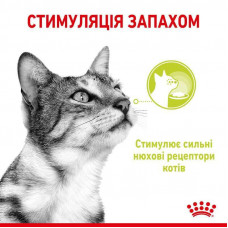 Royal Canin Sensory Smell Jelly (Роял Канін Сенсорі в желе) вологий корм для вимогливих кішок 85 г х 12 шт 85 г х 12 шт.