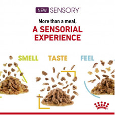 Royal Canin Sensory Smell Gravy (Роял Канін Сенсорі шматочки) вологий корм для перебиральних кішок 85 г х 12 шт 85 г х 12 шт.