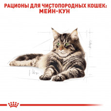 Royal Canin Maine Coon (Роял Канін Мейн Кун Едалт) вологий корм для кішок мейн-кун 85 г х 12 шт.