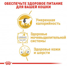 Royal Canin British Shorthair (Роял Канін Брітіш Шортхейр) вологий корм для кішок британська короткошерста 0.085 кг. х 12 шт.