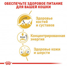 Royal Canin Maine Coon (Роял Канін Мейн Кун Едалт) вологий корм для кішок мейн-кун 85 г х 12 шт.