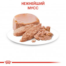 Royal Canin Mother Babycat Ultra Soft Mousse (Роял Канін Мазер Бебікет) вологий корм для вагітної кішки 0.195 кг. х 12 шт.