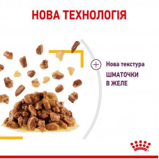 Royal Canin Sensory Taste Jelly (Роял Канін Сенсорі в желе) вологий корм для вимогливих котів 85 г х 12 шт.