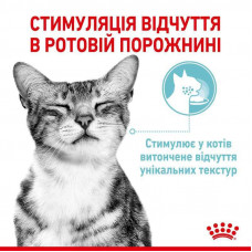 Royal Canin Sensory Feel Jelly (Роял Канін Сенсорі в желе) вологий корм для перебиральних котів 85 г х 12 шт.