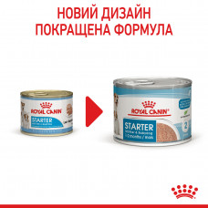 Royal Canin Starter Mousse Mother Babydog (Роял Канін Стартер) вологий корм для вагітних собак 195 г х 12 шт.