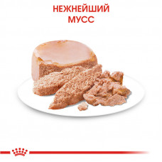 Royal Canin Starter Mousse Mother Babydog (Рояв Канін Стартер Мазер Бебідог) вологий корм для вагітних собак 0.195 кг.