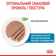 Royal Canin Starter Mousse Mother Babydog (Роял Канін Стартер) вологий корм для вагітних собак 195 г х 12 шт.