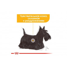 Royal Canin Dermacomfort (Роял Канін Ол Сайзес Дермакомфорт) вологий корм для собак з чутливою шкірою 85 г х 12 шт.