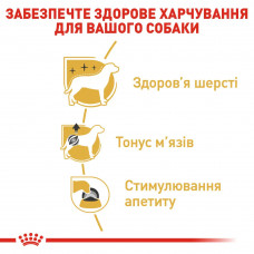 Вологий корм для собак Royal Canin Poodle Loaf (Роял Канін) паштет для породи Пудель 85 г. х 12 шт.