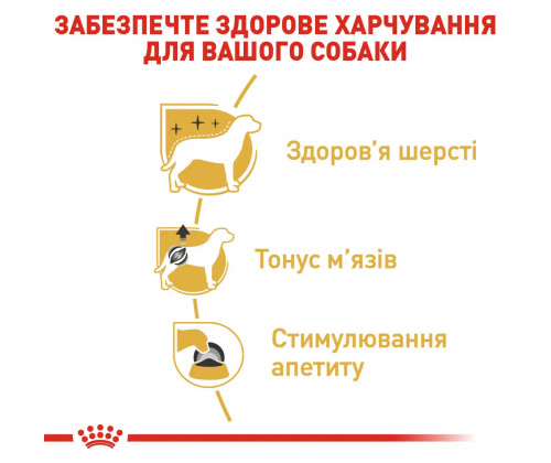 Вологий корм для собак Royal Canin Poodle Loaf (Роял Канін) паштет для породи Пудель 85 г. х 12 шт. Вологий корм для собак Royal Canin Poodle Loaf (Роял Канін) паштет для породи Пудель 85 г. х 12 шт.
