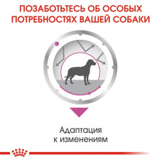 Royal Canin Relax Care (Роял Канін Ол Сайзес Релакс Кер) вологий корм для собак у разі стресів 85 г. х 12 шт.