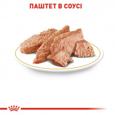 Вологий корм для собак Royal Canin Poodle Loaf (Роял Канін) паштет для породи Пудель 85 г. х 12 шт.