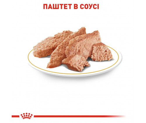 Вологий корм для собак Royal Canin Poodle Loaf (Роял Канін) паштет для породи Пудель 85 г. х 12 шт. Вологий корм для собак Royal Canin Poodle Loaf (Роял Канін) паштет для породи Пудель 85 г. х 12 шт.