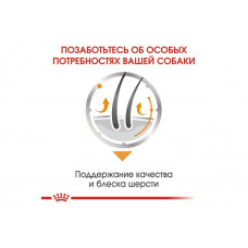 Royal Canin Coat Care (Роял Канін Коат Кер) вологий корм для собак з тьмяною і жорсткою шерстю 85 г х 12 шт.