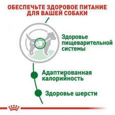 Royal Canin Mini Adult (Рояв Канін Міні Едалт) вологий корм для маленьких собак до 10 кілограмів від 10 місяців 0,085 кг.