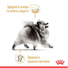 Роуал Canin Pomanian Loaf (Роял Канін Помераніан Лоаф) вологий корм (паштет) для дорослих Померанських шпіцьків 0.085 кг.