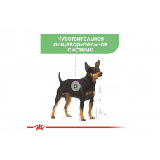 Royal Canin Digestive Care (Роял Канін Дайджестив Кер) вологий корм для собак для травлення 85 г х 12 шт.