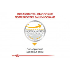 Royal Canin Dermacomfort (Роял Канін Ол Сайзес Дермакомфорт) вологий корм для собак з чутливою шкірою 85 г х 12 шт.