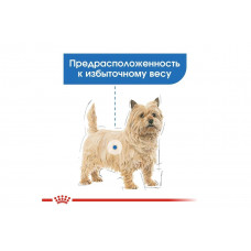 Royal Canin Light Weight Care (Роял Канін Лайт Вейт Кер) вологий корм для собак з ожирінням 85 г х 12 шт.