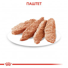 Royal Canin Relax Care (Роял Канін Ол Сайзес Релакс Кер) вологий корм для собак у разі стресів 85 г. х 12 шт.