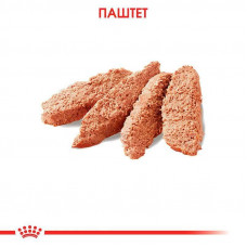 Royal Canin Exigent (Роял Канін Екзігент) корм паштет для собак вибагливих у харчуванні від 10 міс. 85г х 12шт