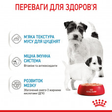 Royal Canin Starter Mousse Mother Babydog (Роял Канін Стартер) вологий корм для вагітних собак 195 г х 12 шт.