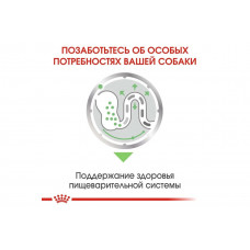 Royal Canin Digestive Care (Роял Канін Дайджестив Кер) вологий корм для собак для травлення 85 г х 12 шт.