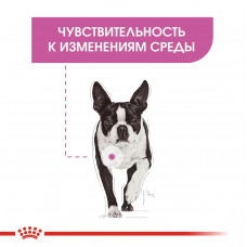 Royal Canin Relax Care (Роял Канін Ол Сайзес Релакс Кер) вологий корм для собак у разі стресів 85 г. х 12 шт.