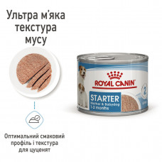 Royal Canin Starter Mousse Mother Babydog (Роял Канін Стартер) вологий корм для вагітних собак 195 г х 12 шт.