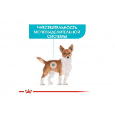 Royal Canin Urinary Care (Роял Канін Ол Сайзес Уринарі Кер) вологий корм для собак від каменів 85 г х 12 шт.