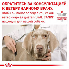 Royal Canin Hypoallergenic (Роял Канін Гіпоалердженик) вологий корм для собак під час алергії на корм