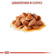 Royal Canin Mini Ageing 12+ (Рояв Канін Міні 12+) вологий корм (в соусі) для собак маленьких порід від 12 років 0.085 кг.