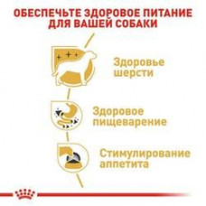 Royal Canin Chihuahua (Роял Канін Чихуахуа Едалт) вологий корм для собак породи чихухуа від 8 міс. 85 г х 12 шт