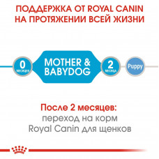 Royal Canin Starter Mousse Mother Babydog (Рояв Канін Стартер Мазер Бебідог) вологий корм для вагітних собак 0.195 кг.