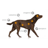NexGard ХL (Фронтлайн Нексгард ХL) таблетки від кліщів і блох для собак вагою від 25.1 до 50 кілограмів 1 таблетка